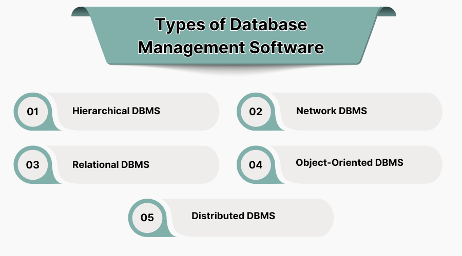 Types of Top Database Management Software
